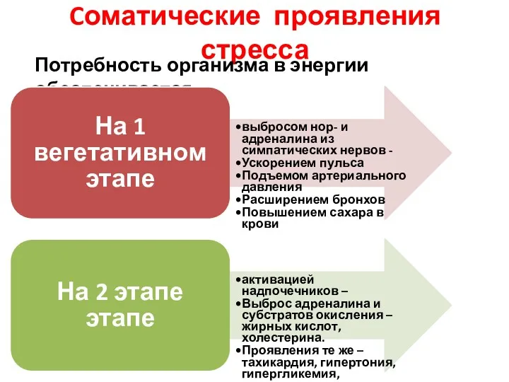 Cоматические проявления стресса Потребность организма в энергии обеспечивается На 1