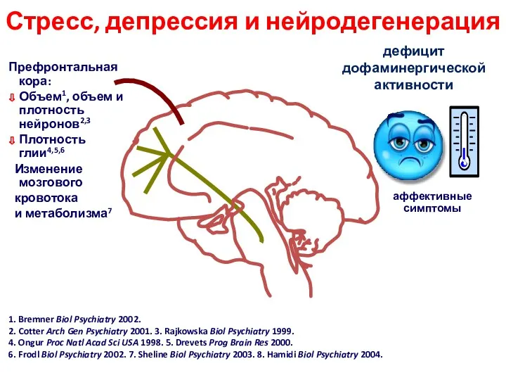 Стресс, депрессия и нейродегенерация дефицит дофаминергической активности Префронтальная кора: Объем1,