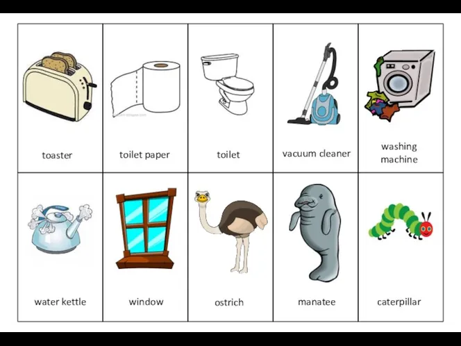 toilet paper water kettle window vacuum cleaner manatee washing machine caterpillar ostrich toaster toilet