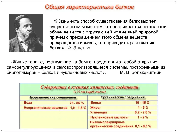 «Живые тела, существующие на Земле, представляют собой открытые, саморегулирующиеся и