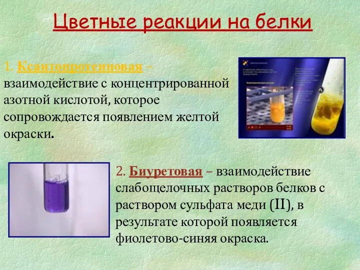 Цветные реакции на белки 1. Ксантопротеиновая – взаимодействие с концентрированной