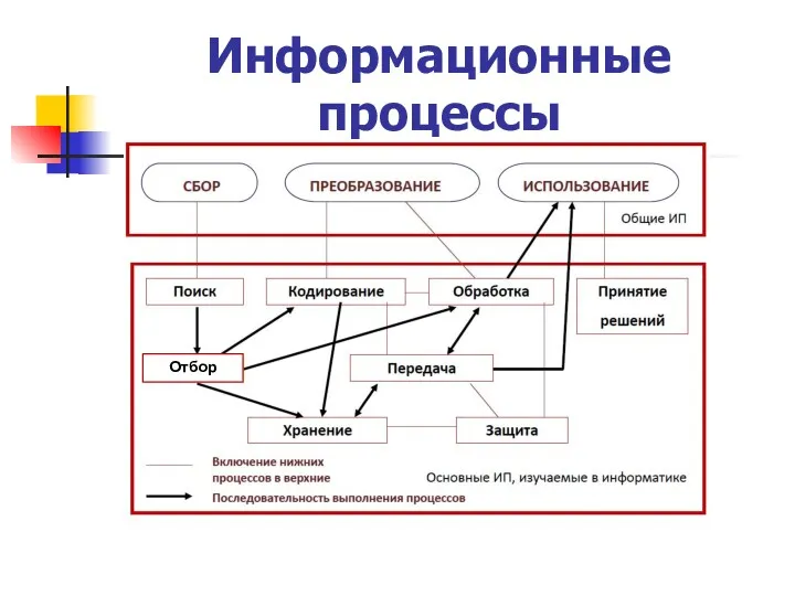 Информационные процессы Отбор