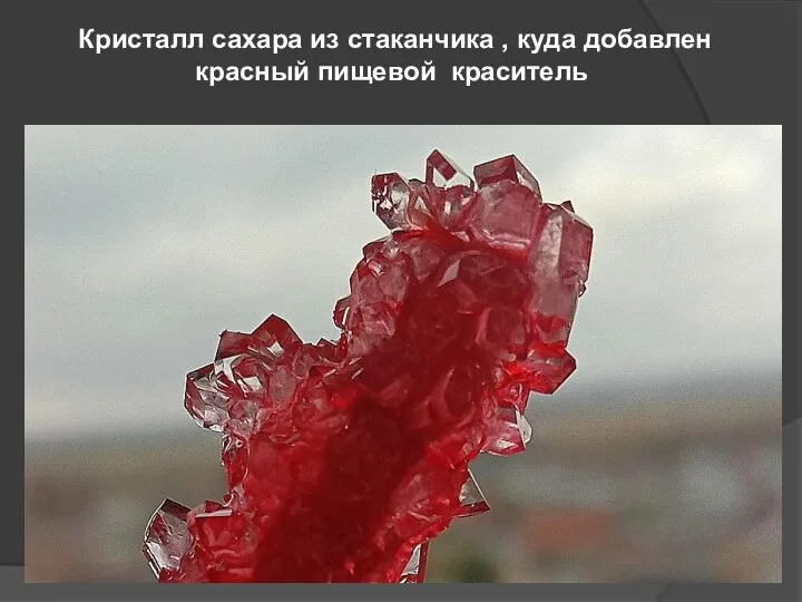 Кристалл сахара из стаканчика , куда добавлен красный пищевой краситель