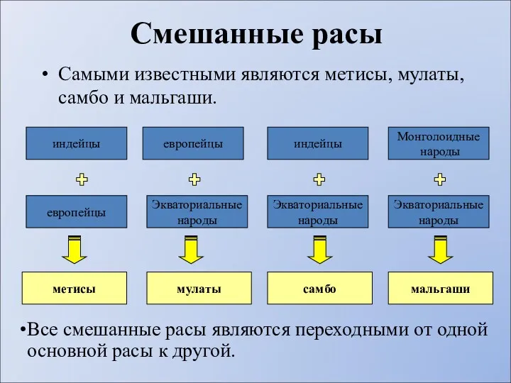 Смешанные расы Самыми известными являются метисы, мулаты, самбо и мальгаши.