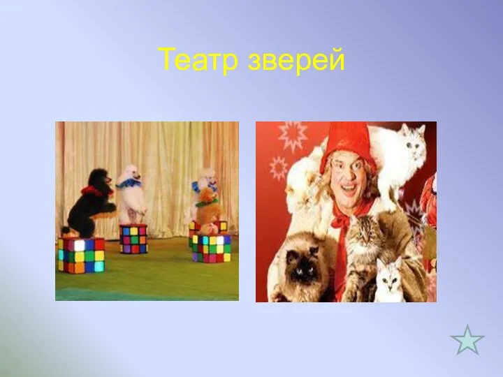 Театр зверей