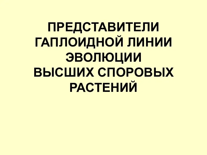 ПРЕДСТАВИТЕЛИ ГАПЛОИДНОЙ ЛИНИИ ЭВОЛЮЦИИ ВЫСШИХ СПОРОВЫХ РАСТЕНИЙ