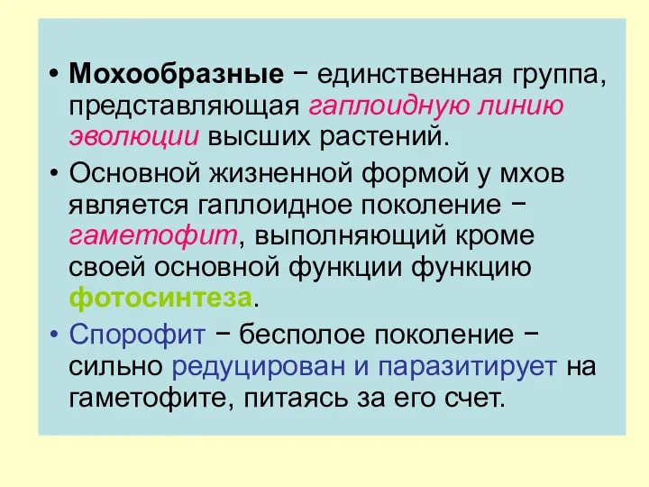 Мохообразные − единственная группа, представляющая гаплоидную линию эволюции высших растений.