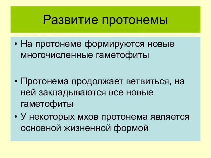 Развитие протонемы На протонеме формируются новые многочисленные гаметофиты Протонема продолжает