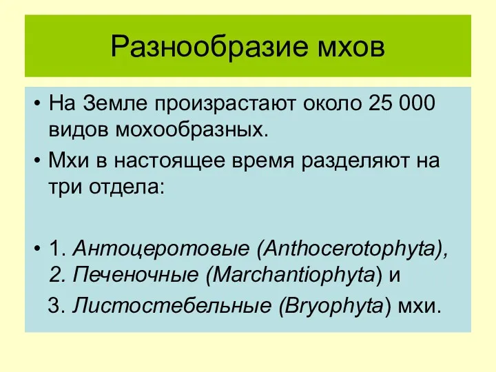 Разнообразие мхов На Земле произрастают около 25 000 видов мохообразных.