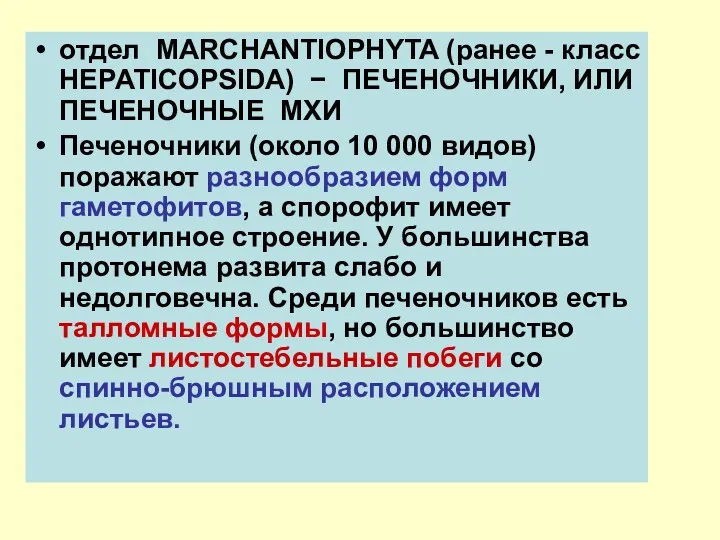 отдел MARCHANTIOPHYTA (ранее - класс HEPATICOPSIDA) − ПЕЧЕНОЧНИКИ, ИЛИ ПЕЧЕНОЧНЫЕ