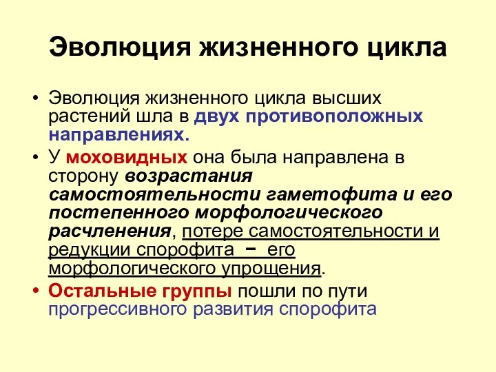 Эволюция жизненного цикла Эволюция жизненного цикла высших растений шла в