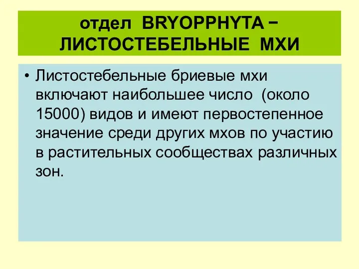 отдел BRYOPPHYTA − ЛИСТОСТЕБЕЛЬНЫЕ МХИ Листостебельные бриевые мхи включают наибольшее