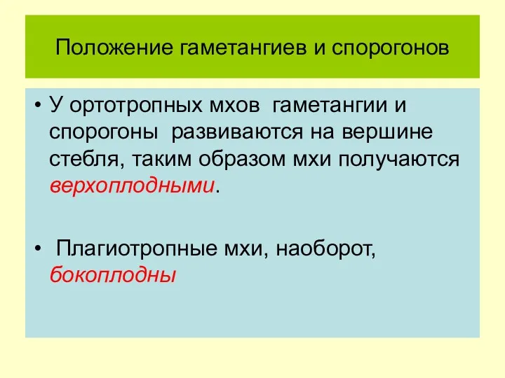 Положение гаметангиев и спорогонов У ортотропных мхов гаметангии и спорогоны