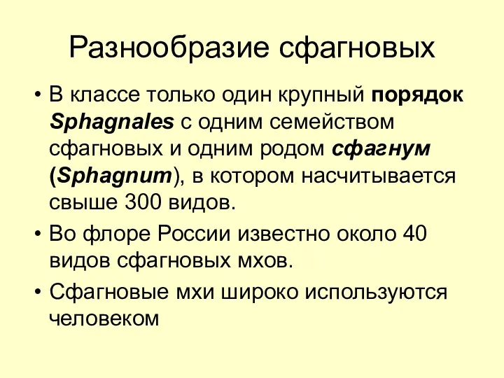 Разнообразие сфагновых В классе только один крупный порядок Sphagnales с