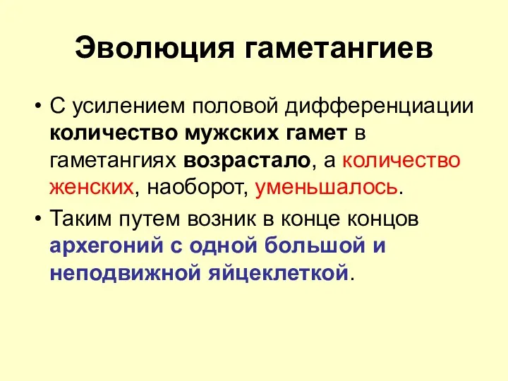 Эволюция гаметангиев С усилением половой дифференциации количество мужских гамет в