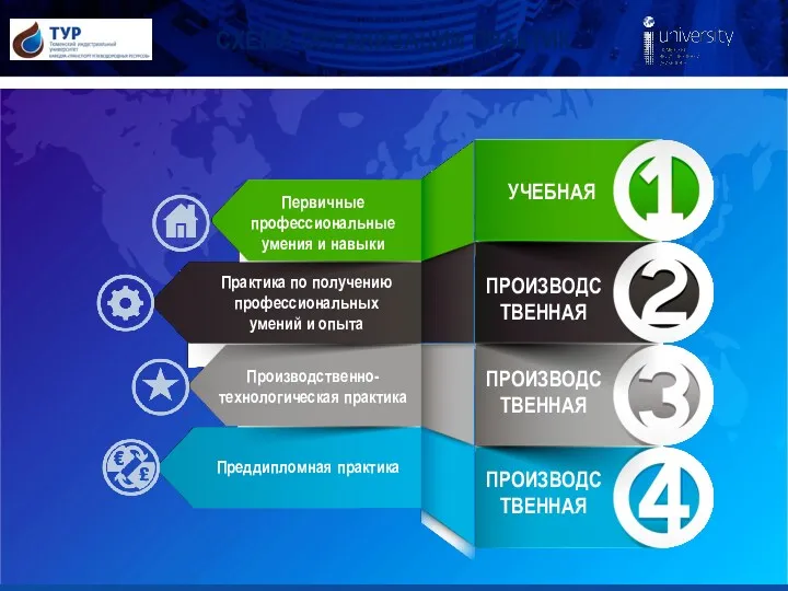 СХЕМА ОРГАНИЗАЦИИ ПРАКТИК Первичные профессиональные умения и навыки Производственно-технологическая практика