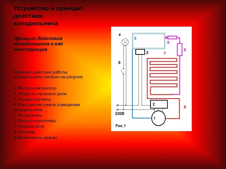 Устройство и принцип действия холодильника Принцип действия холодильника и его