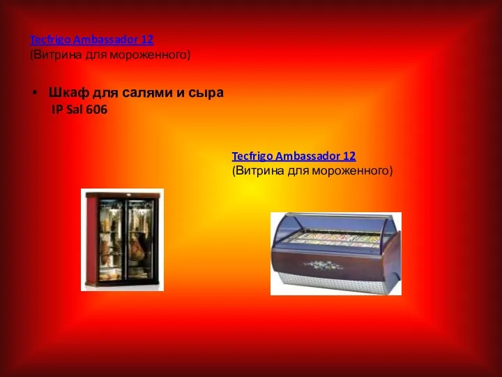 Tecfrigo Ambassador 12 (Витрина для мороженного) Шкаф для салями и