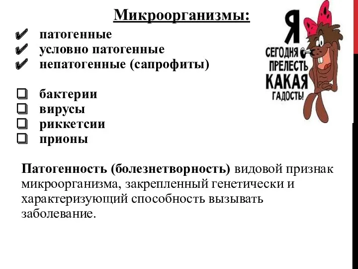 Микроорганизмы: патогенные условно патогенные непатогенные (сапрофиты) бактерии вирусы риккетсии прионы