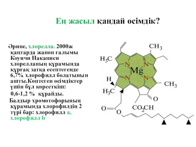 Ең жасыл қандай өсімдік? Әрине, хлорелла. 2000ж қаңтарда жапон ғалымы