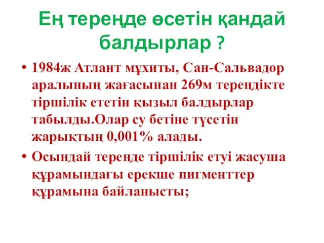 Ең тереңде өсетін қандай балдырлар ? 1984ж Атлант мұхиты, Сан-Сальвадор