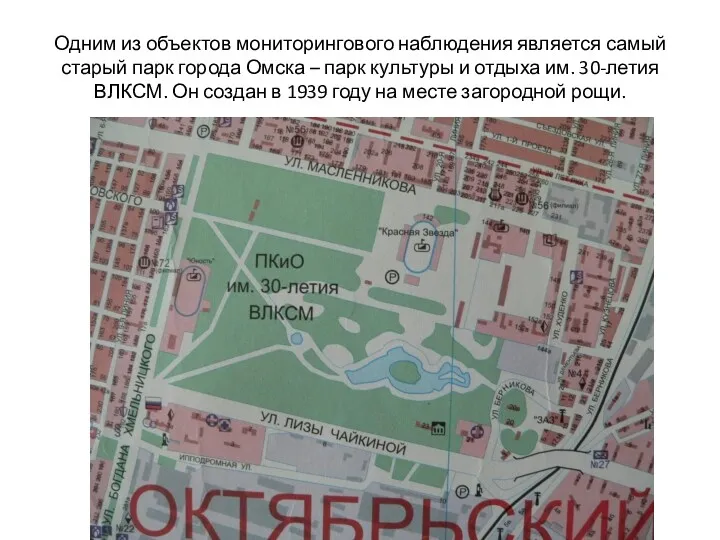 Одним из объектов мониторингового наблюдения является самый старый парк города Омска – парк