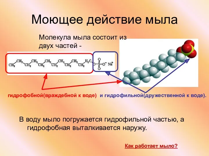 Моющее действие мыла В воду мыло погружается гидрофильной частью, а