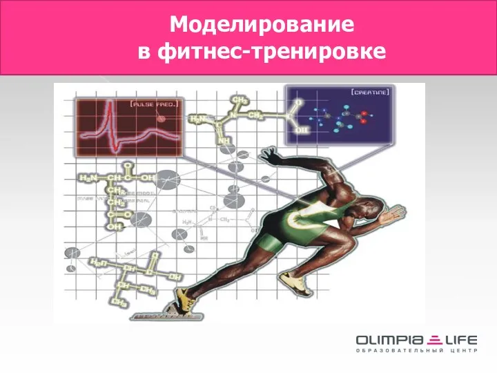 Моделирование в фитнес-тренировке