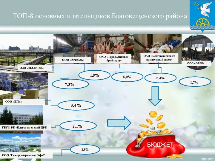 ТОП-8 основных плательщиков Благовещенского района 7,3%. 3,4 % 2,1%. 2,9%