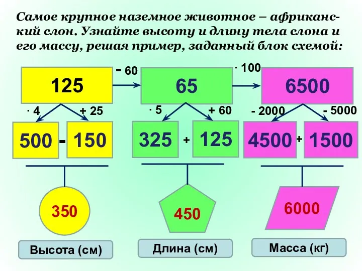 + + - ∙ 4 + 60 Самое крупное наземное