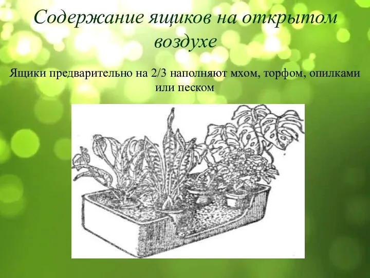 Содержание ящиков на открытом воздухе Ящики предварительно на 2/3 наполняют мхом, торфом, опилками или песком