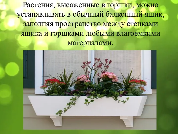 Растения, высаженные в горшки, можно устанавливать в обычный балконный ящик,