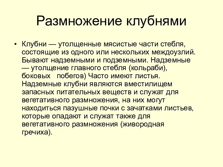 Размножение клубнями Клубни — утолщенные мясистые части стебля, состоящие из