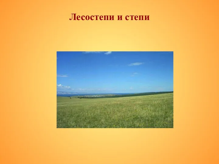 Лесостепи и степи