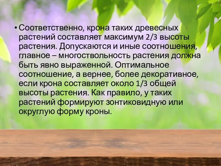 Соответственно, крона таких древесных растений составляет максимум 2/3 высоты растения.