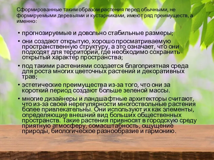 Сформированные таким образом растения перед обычными, не формируемыми деревьями и