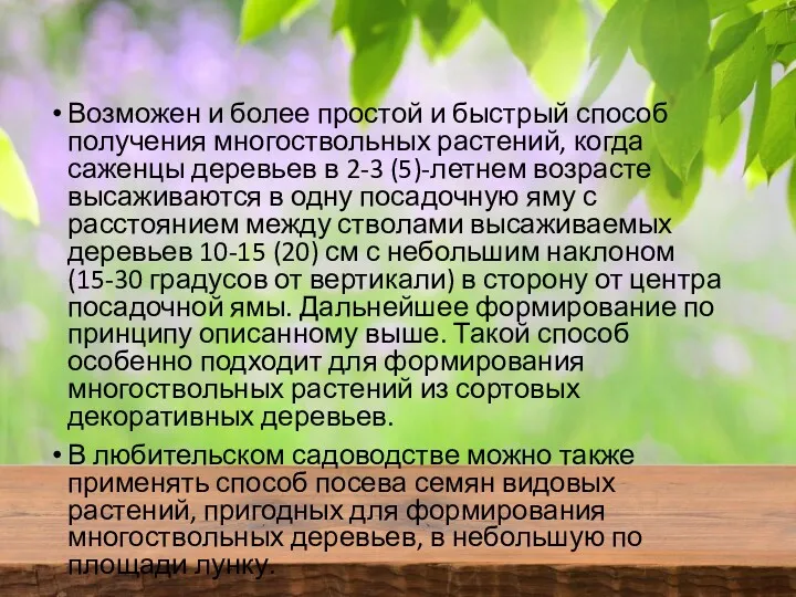 Возможен и более простой и быстрый способ получения многоствольных растений,