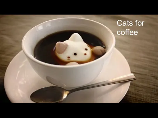 Cats for coffee