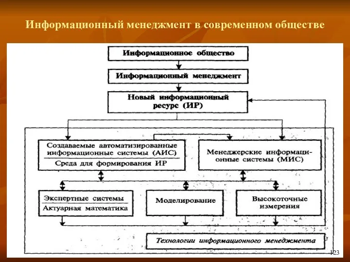 Информационный менеджмент в современном обществе