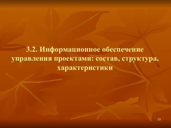 3.2. Информационное обеспечение управления проектами: состав, структура, характеристики