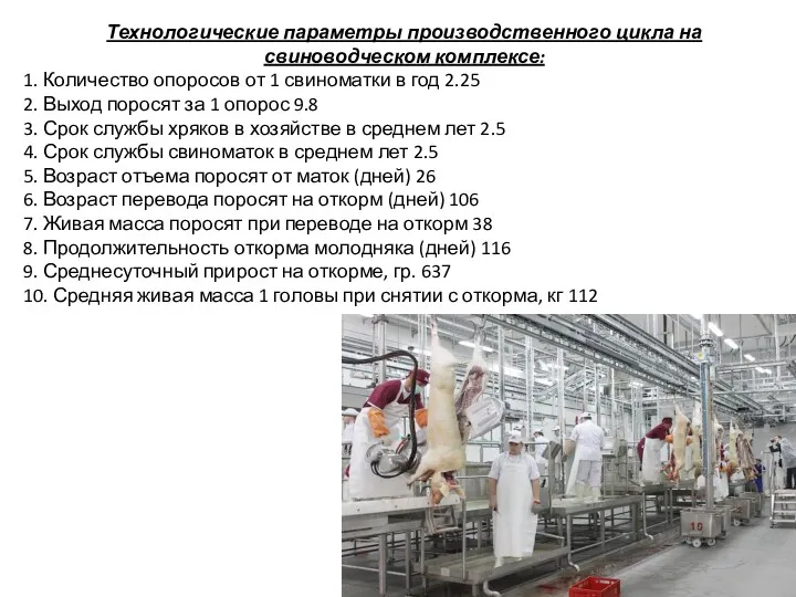 Технологические параметры производственного цикла на свиноводческом комплексе: 1. Количество опоросов