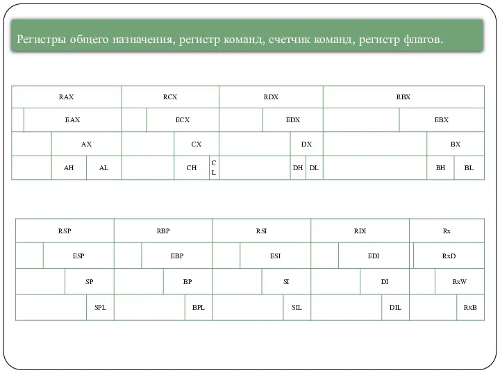 Регистры общего назначения, регистр команд, счетчик команд, регистр флагов.
