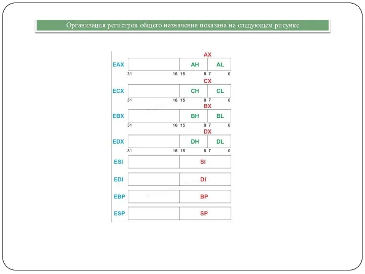 Организация регистров общего назначения показана на следующем рисунке