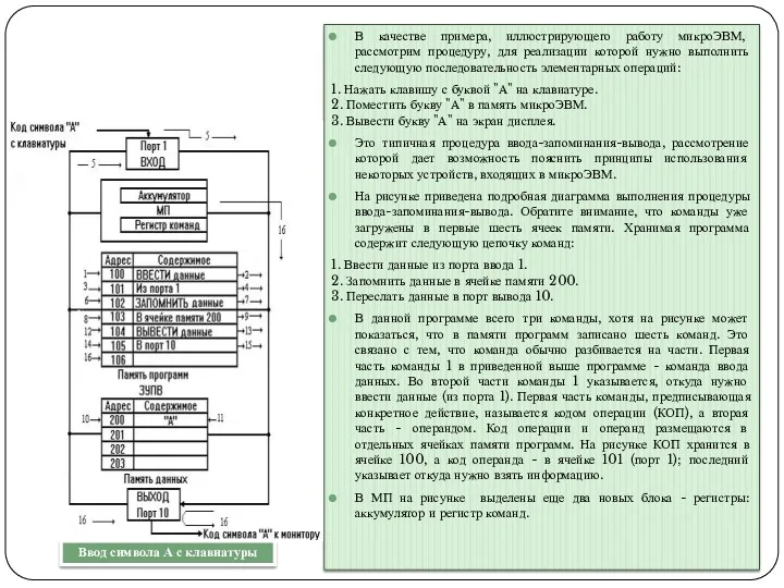 В качестве примера, иллюстрирующего работу микроЭВМ, рассмотрим процедуру, для реализации