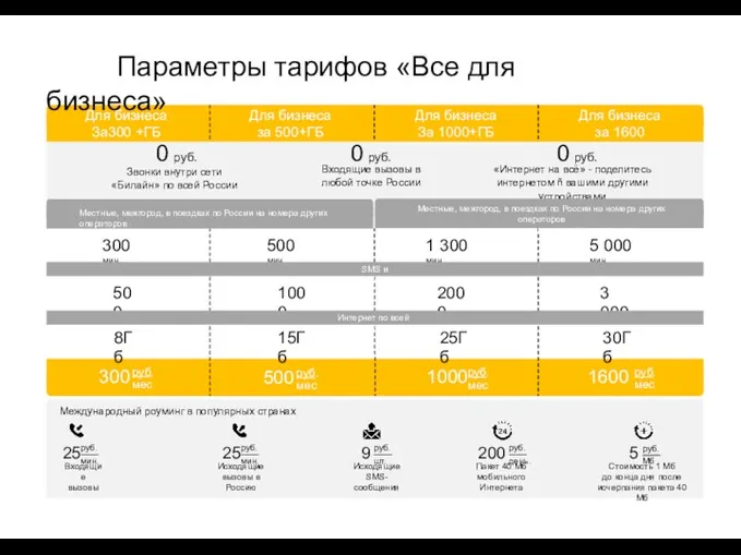 Для бизнеса За300 +ГБ 0 Для бизнеса за 500+ГБ Для