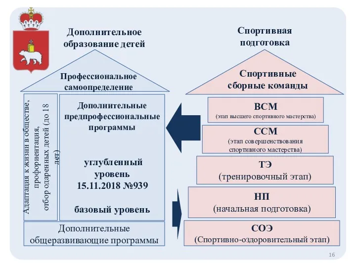 СОЭ (Спортивно-оздоровительный этап) НП (начальная подготовка) ТЭ (тренировочный этап) ССМ