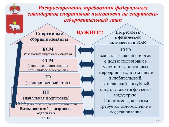 СОЭ (Спортивно-оздоровительный этап) Выявление и отбор спортивно-одаренных детей НП (начальная