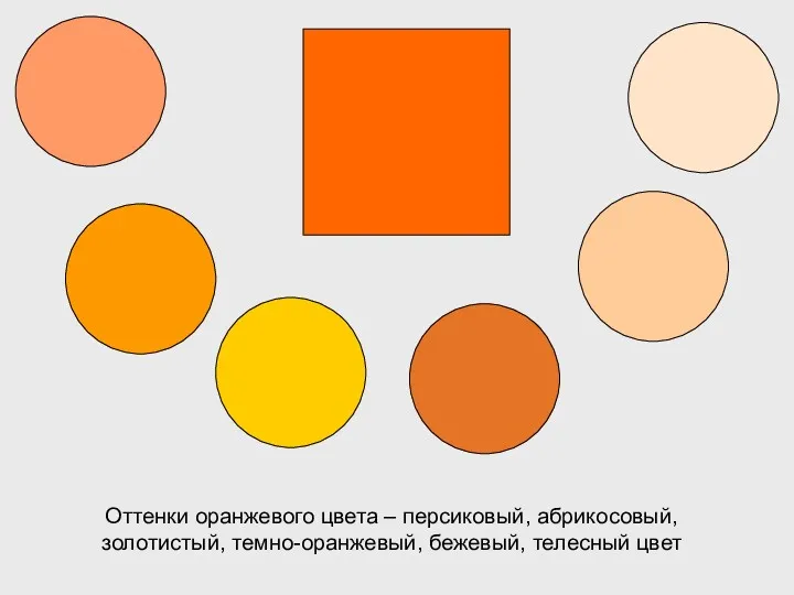 Оттенки оранжевого цвета – персиковый, абрикосовый, золотистый, темно-оранжевый, бежевый, телесный цвет