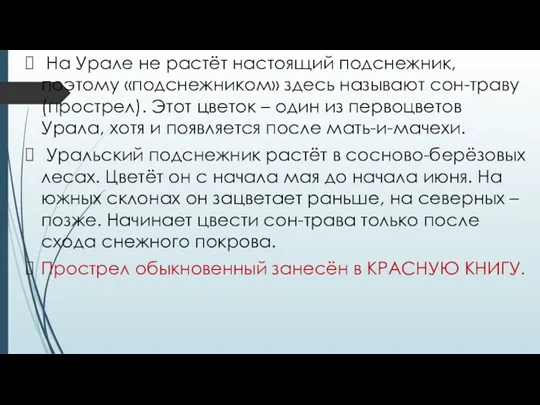 На Урале не растёт настоящий подснежник, поэтому «подснежником» здесь называют