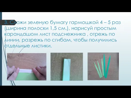 3. Сложи зеленую бумагу гармошкой 4 – 5 раз (ширина полоски 1,5 см.),